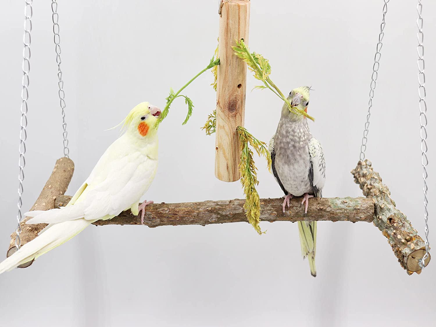 Large Bird Perch Swing Toy, Natural Pepper Wood Parrot Perch Stand Toy –  Parrot Cafe